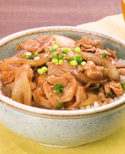 Donburi (丼物) Gyudon (牛丼) Bol de riz japonais garni de bœuf, une spécialité traditionnelle