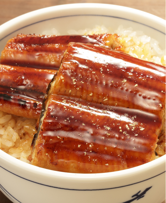 Donburi (丼物) Unadon (うな丼) Bol de riz japonais garni d'anguille grillée, une spécialité sucrée et umami.