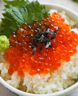 Donburi (丼物) Ikura Don (いくら丼) – Riz japonais garni d’œufs de saumon marinés, une spécialité iodée et luxueuse.