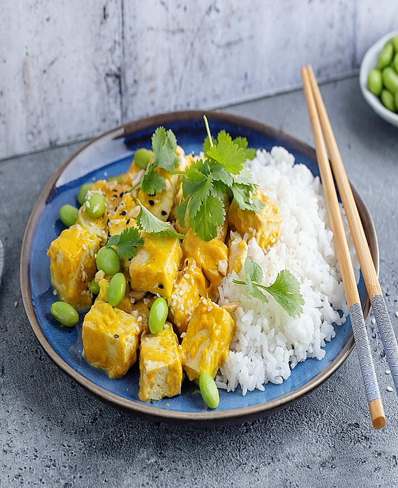 Donburi (丼物)Vegan Don / Tofu Karaage Don – Bol de riz japonais avec tofu frit croustillant et légumes frais