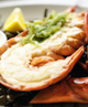 Crustaceans