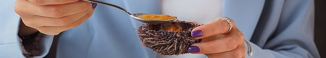 Echinoderms