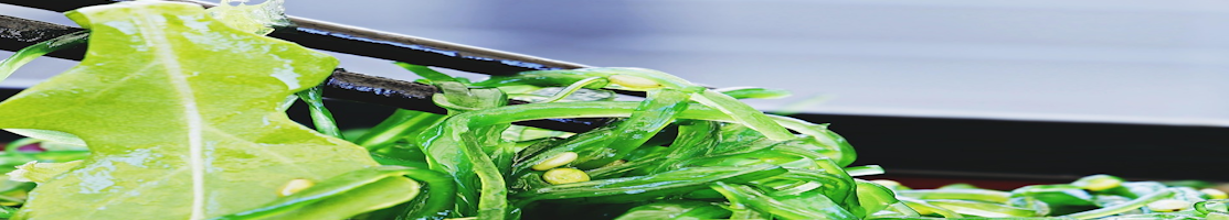 Seaweed