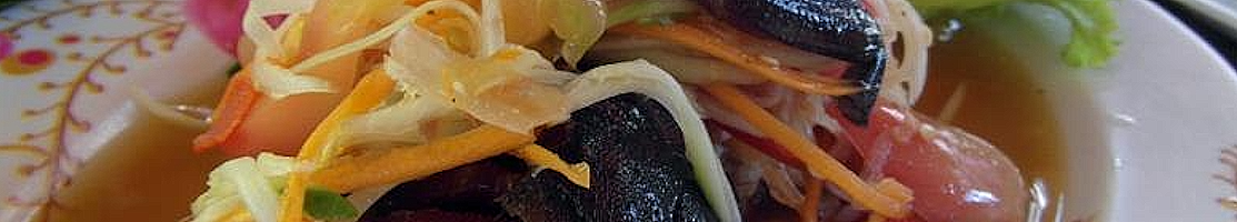 Cnidarians