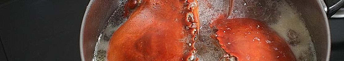 Basi di brodi – Resto del mondo